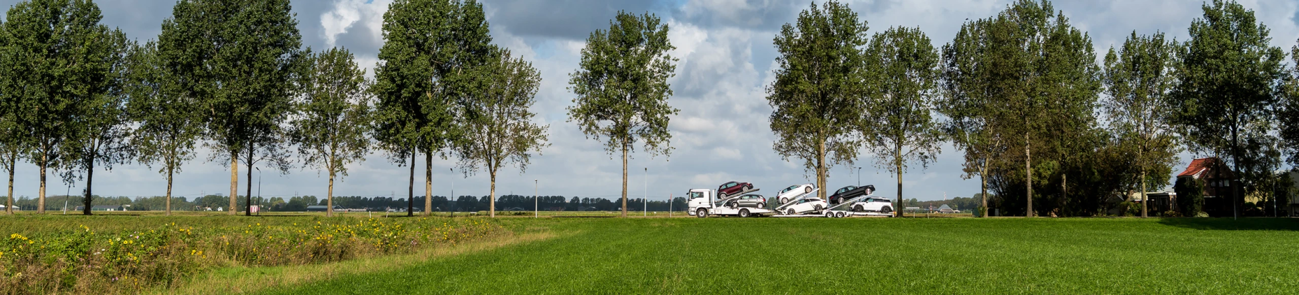 More than 20 years of experience in safe transport.